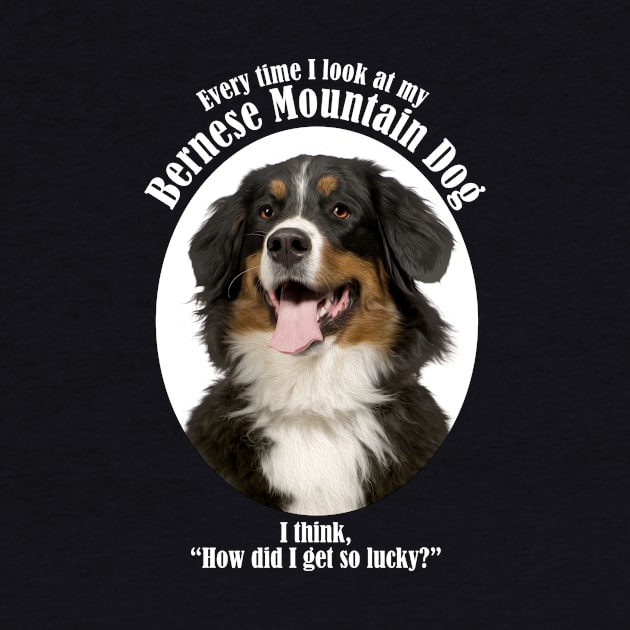 Bernese Mountain Dog Dad by You Had Me At Woof